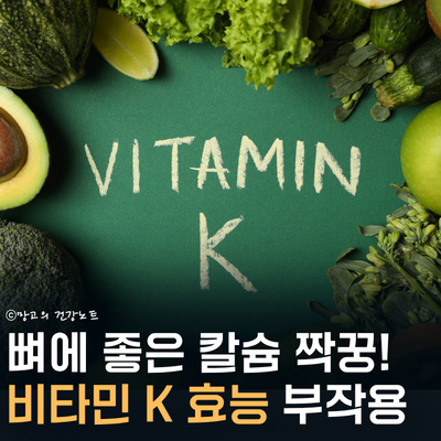 칼슘 짝꿍 비타민K 효능 부작용 섭취량 먹는법 알고 계세요?