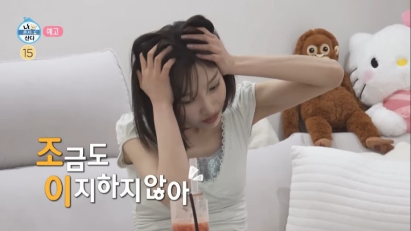 아이돌 정상급인데 왜?…레드벨벳 조이가 애견미용 학원 새벽반까지 등록한 소름 돋는 이유 ....