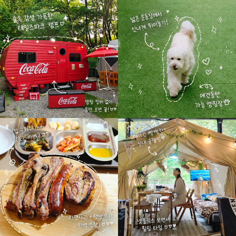 용인바베큐 캠핑장 실내외 대여 애견동반 당일치기 테일즈파크캠프