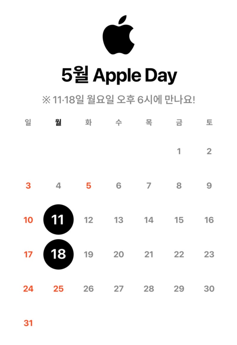 현대카드 M몰 애플데이 에어팟, 매직마우스 구매 팁