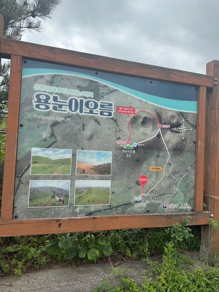 용눈이오름 난이도 쉬운 제주 오름 추천 주차장 소요시간 총정리