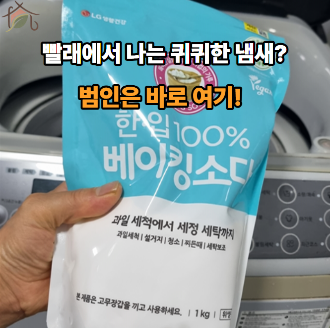 세탁기 속 보이지 않는 곰팡이? 베이킹소다로 끝내는 초간단 세탁조 청소