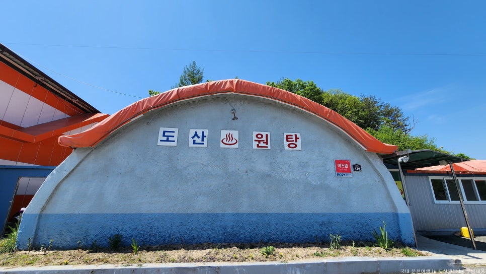신촌물고기 사진 4