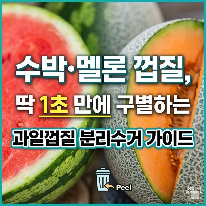 멜론껍질 수박껍질 분리수거 음식물쓰레기로? 헷갈리는 과일껍질 버리는법