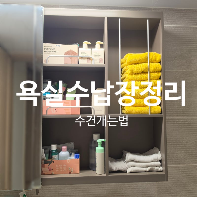 2026 1일 1정리 욕실 수납장 정리｜수건 개는 법 수납공간 나누기