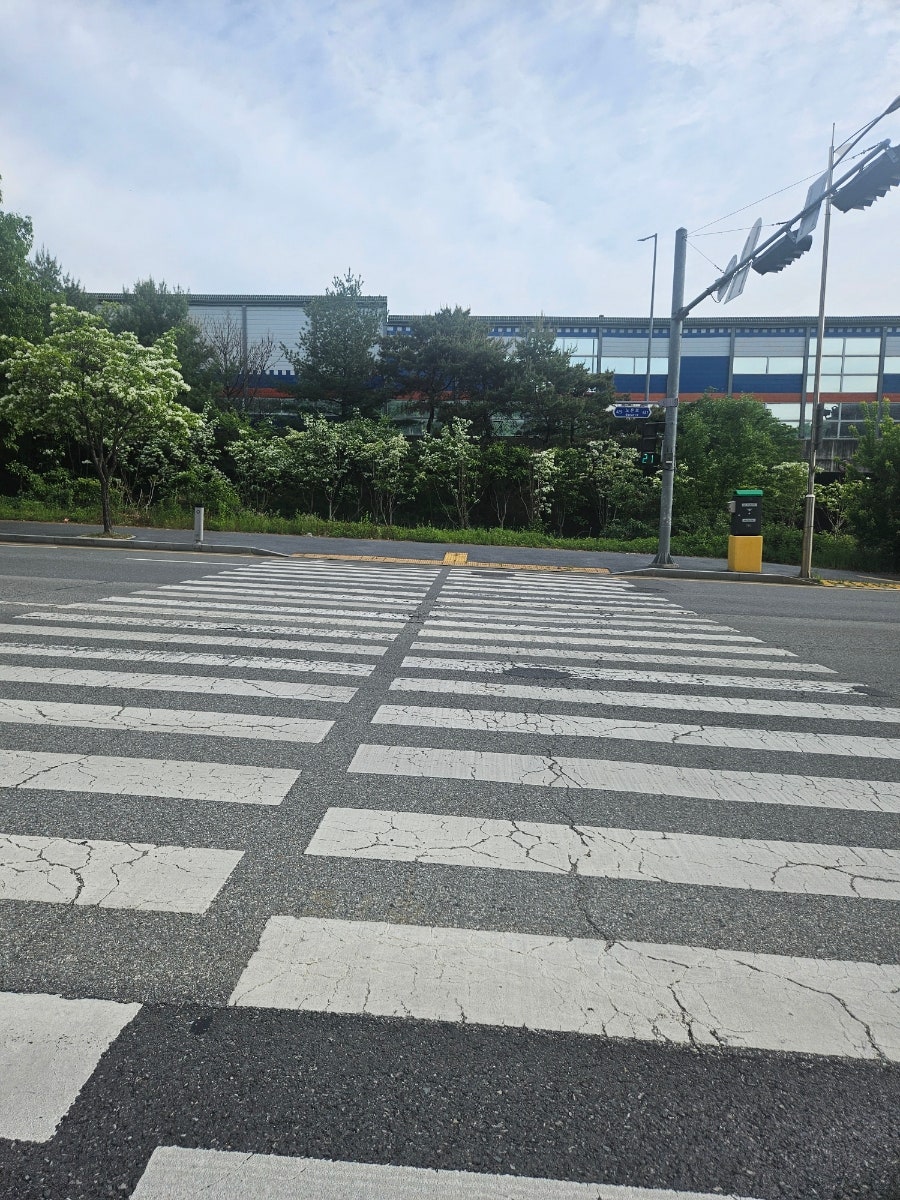 스윗코하롱 사진 1