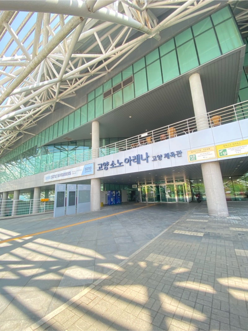 경기 고양시 일산구 : 고양체육관 수영장 ♀️