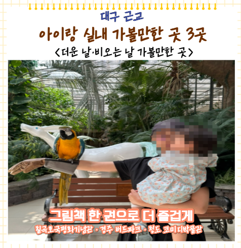 대구 근교 아이랑 실내 가볼만한 곳 더운 날 비오는 날 알차게 놀았던 실내 3곳 (12~36개)