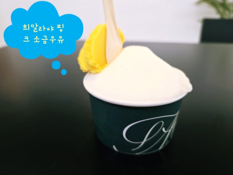  울산 중구 아이스크림 맛집 AO ICECREAM SHOP, 쫀득한 수제 젤라또 내돈내산 후기 - 태화강국가정원