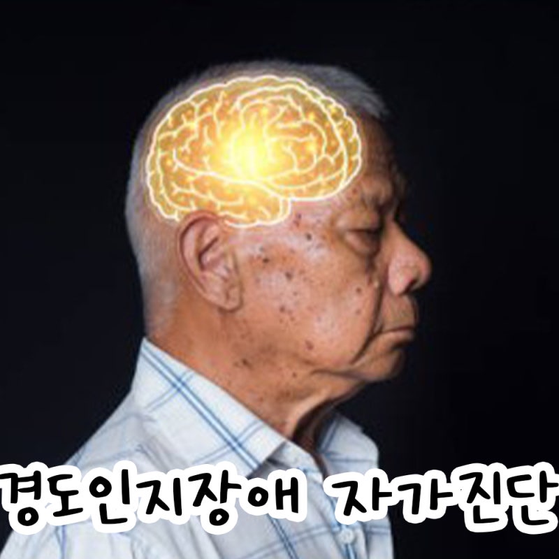 치매 전조증상? 경도인지장애 뜻과 원인부터 필수 자가진단 테스트까지
