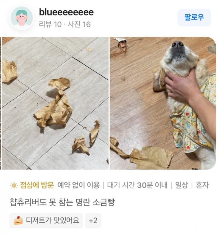  챱츄리버조차도 못참는 명란소금빵.jpg