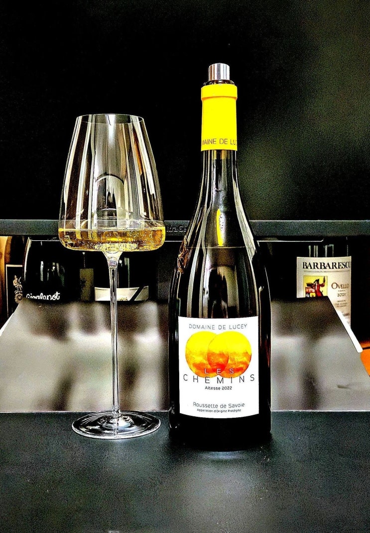  [화이트] 도멘 드 루세이 레 슈맹 2022 Domaine de Lucey Les Chemins 2022 프랑스 사부아 알테스 와인 리뷰