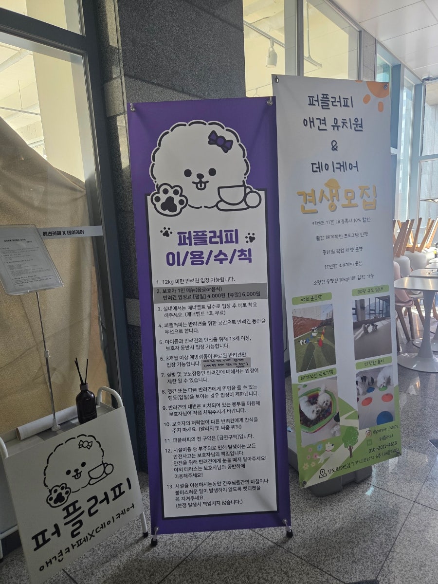 퍼플러피 사진 4
