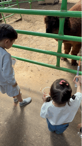 김포 아이랑 갈만한곳 연보람목장 후기｜24개월 아기 동물먹이주기·피자만들기 체험