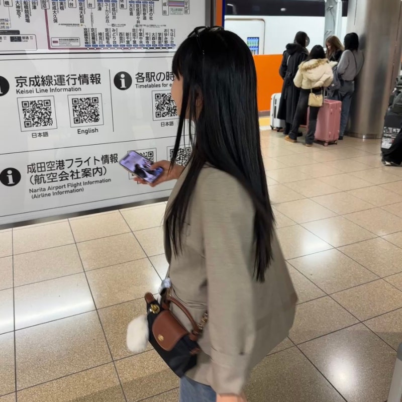 미니백 추천 롱샴 르 플리아쥬 오리지널 핸들 파우치