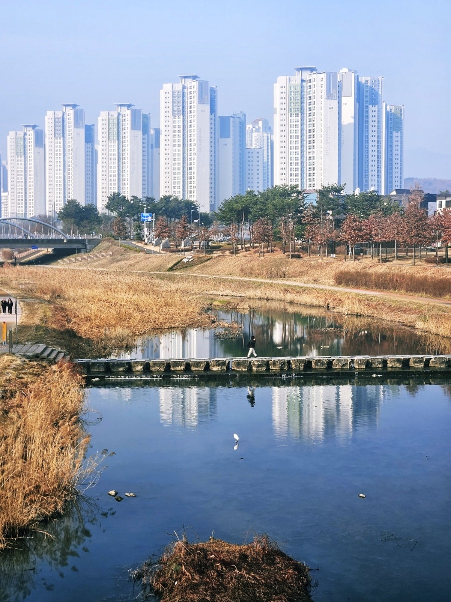 스윗코하롱 사진 4