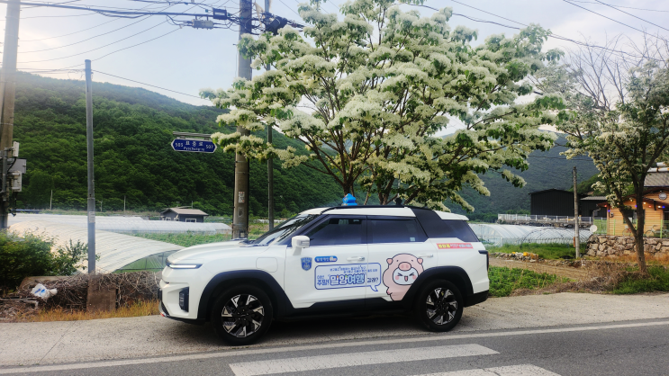  반하다!밀양반값여행으로 밀양관광 밀양택시투어로 5시간 알찬 여행! 밀양진달래택시.81