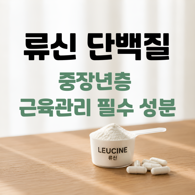  류신 효능 부작용 섭취방법 총정리 | 근육 합성부터 단백질 흡수까지