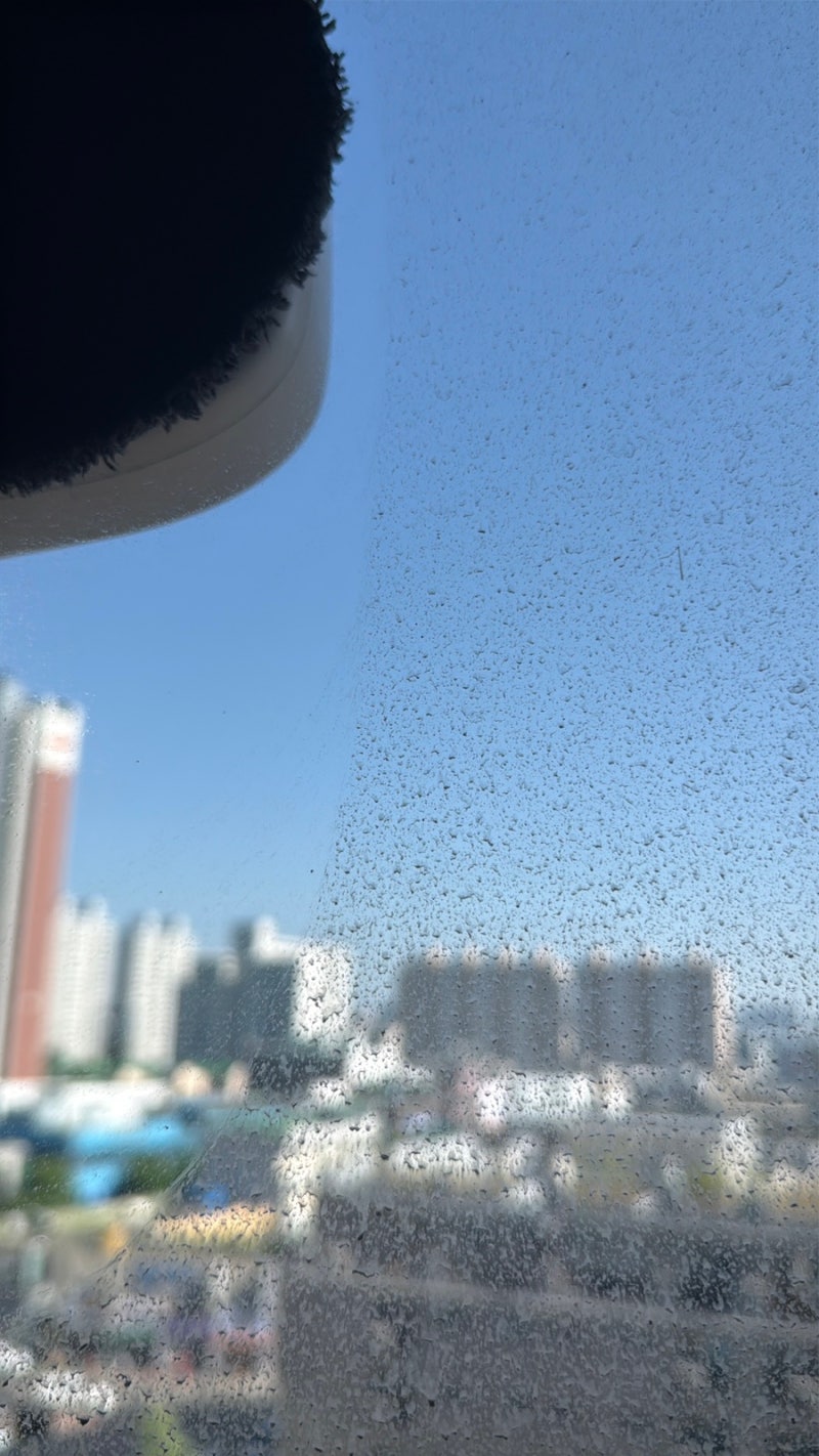 내돈내산!! 창문로봇청소기대여!! 유리창청소~