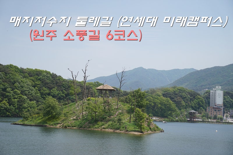 원주 소풍길 6코스 매지저수지 둘레길 걷기(연세대학교 미래캠퍼스)