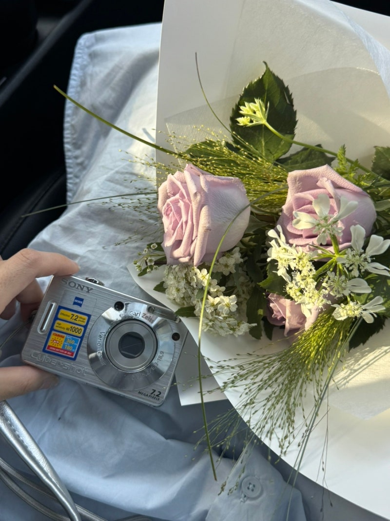 [빈티지 디카] 소니 사이버샷 dsc w70 후기 및 작례, 디카 소모품 정보 공유