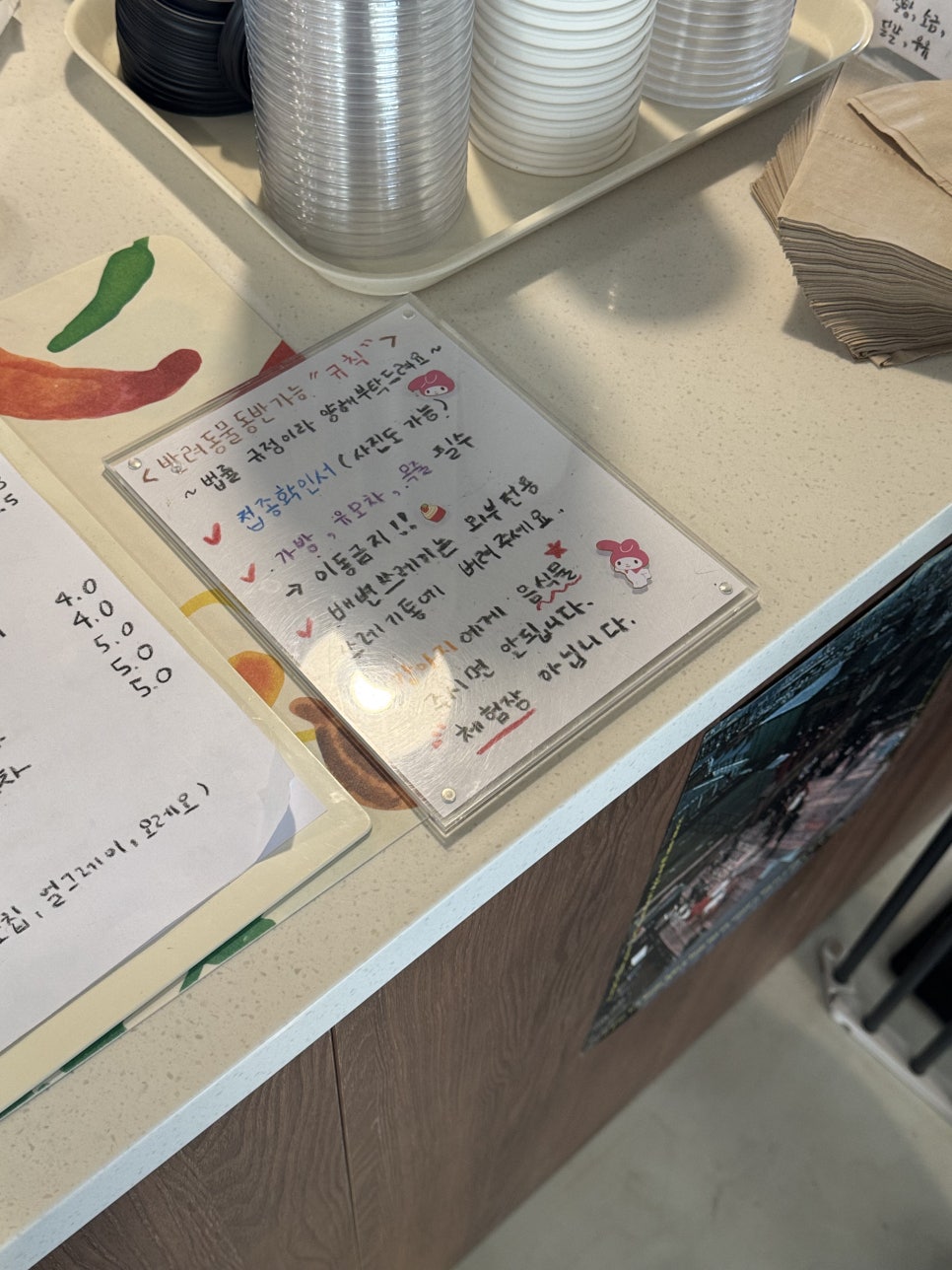 하토 사진 4
