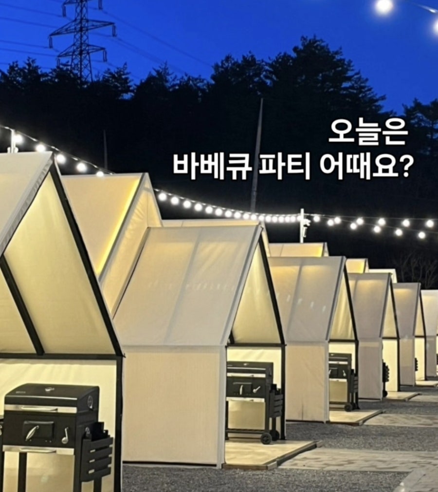 제비연 사진 1