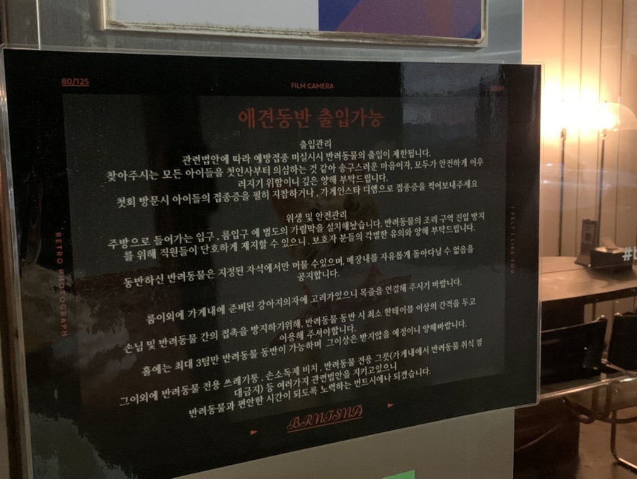 번트시에나 사진 4