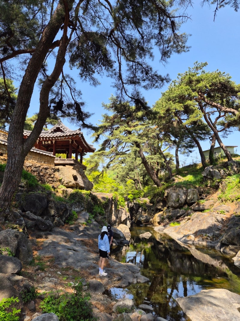 [영주-봉화 여행] 가성비 좋은 숙소 소백산생태탐방원, 백두대간수목원 아이랑 함께하는 생....