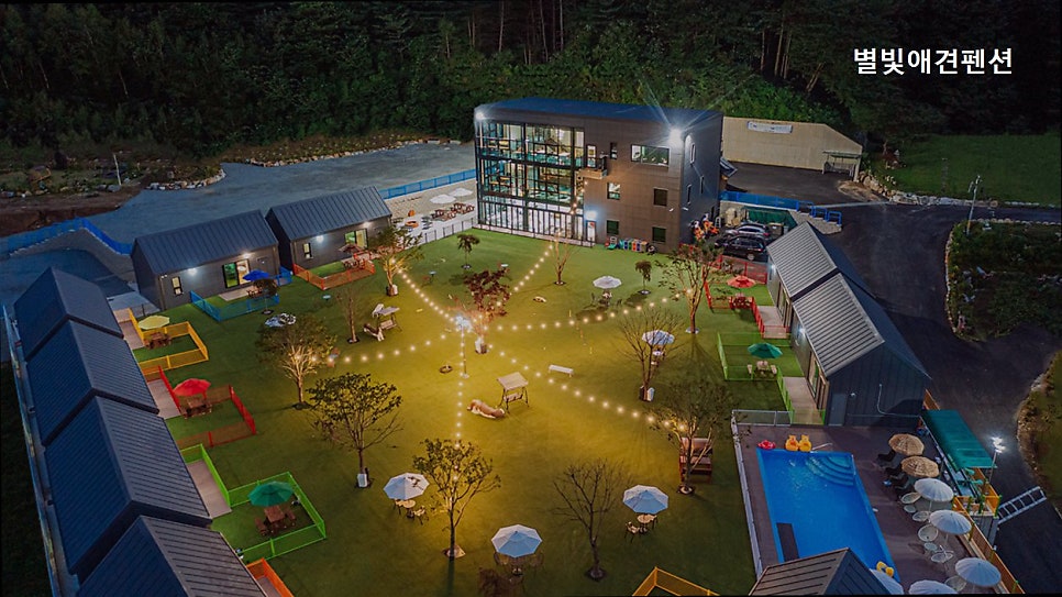 별빛애견펜션 사진 1