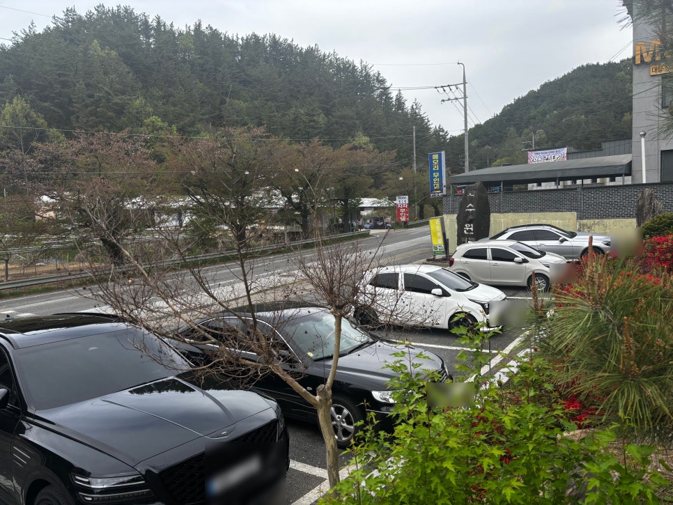 과수원가든 사진 2