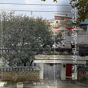 [아산 은행나무길 카페] 언더힐 :: 아산 은행나무길 분좋카, 아산 염치읍 카페, 내돈내산