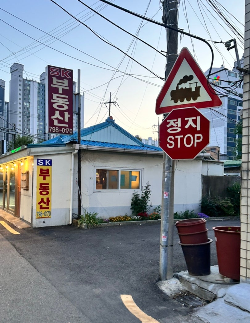 밤노을 사진 4