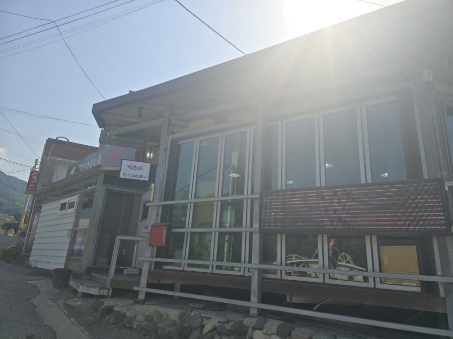 강쇠네흑돼지 사진 2
