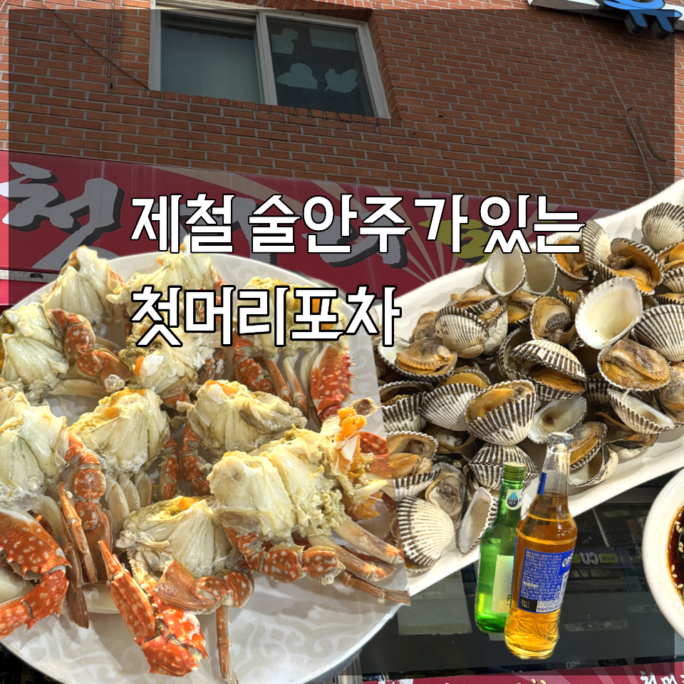 Cheotmeoripocha photo 1