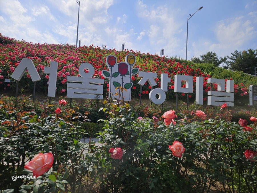 5구역 방배본점 사진 2
