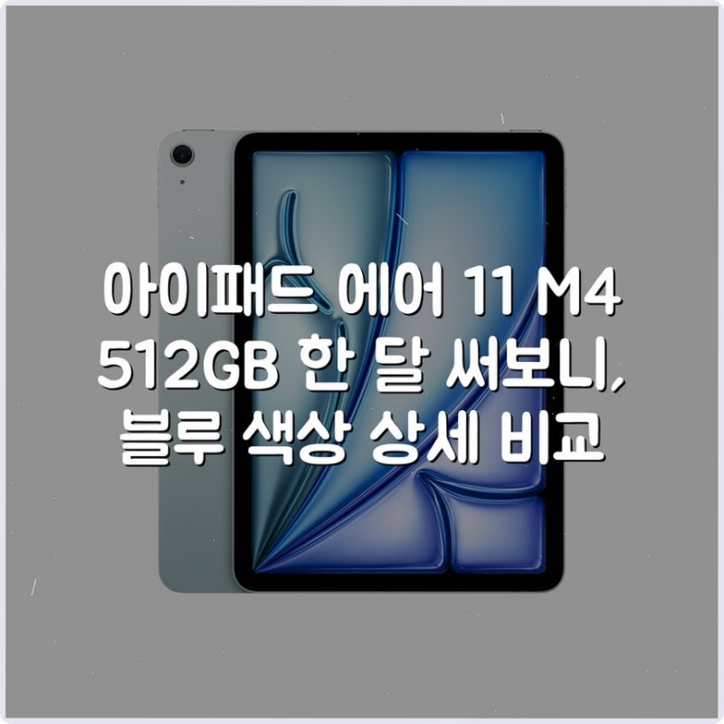 아이패드 에어 11 M4 512GB 한 달 써보니, 블루 색상 상세 비교