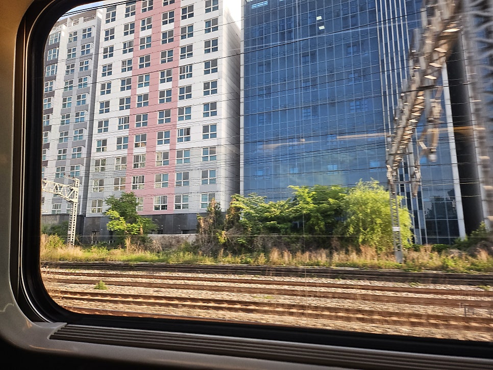 올데이수프 천안점 사진 2
