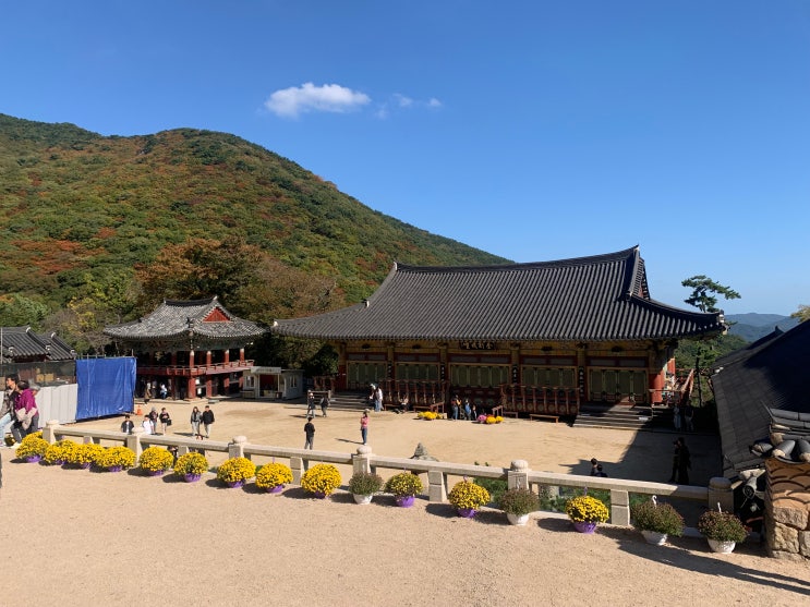  부처님오신날 부산 사찰 가볼만한 곳 삼광사 범어사 해동용궁사 총정리