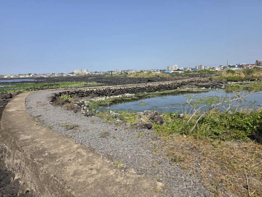 에이바우트커피 조천점 사진 6