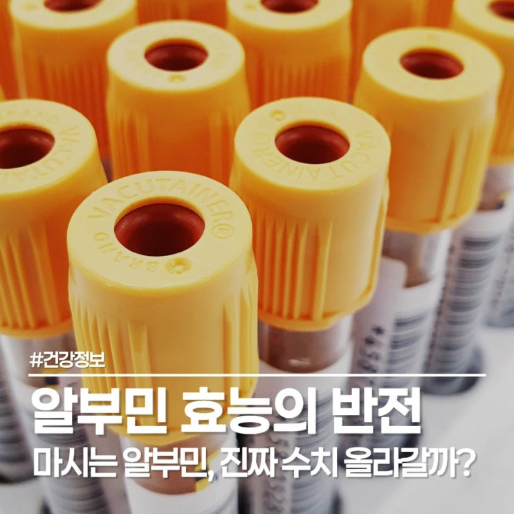  알부민 효능의 반전, 마시는 알부민 영양제 돈 낭비 안 하는 법