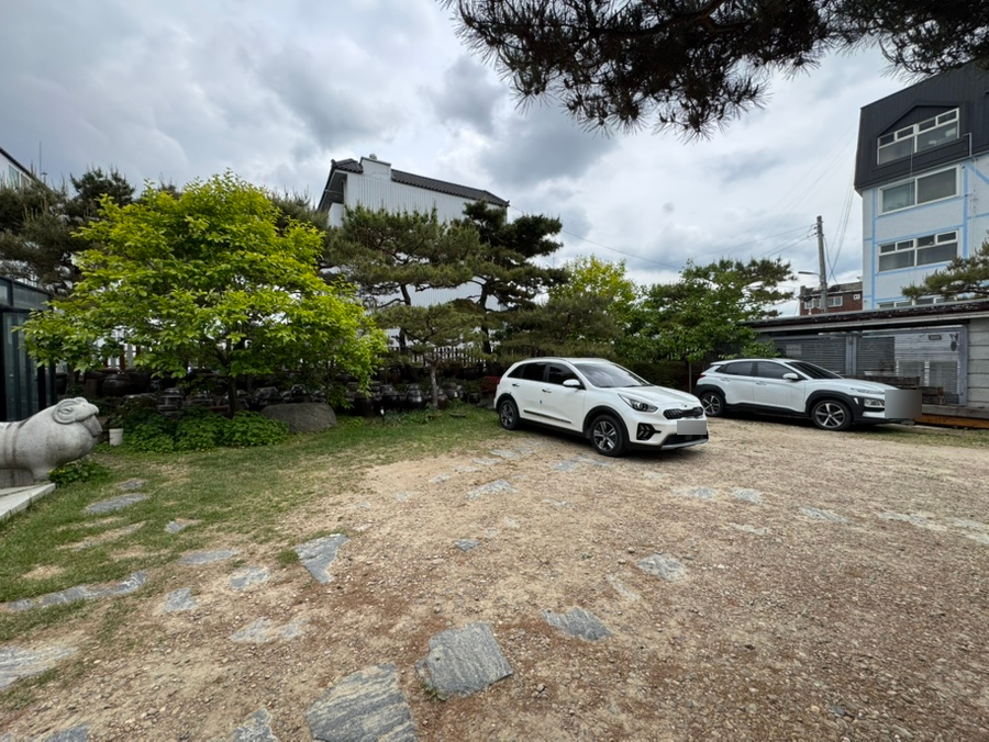 소나무집 사진 4