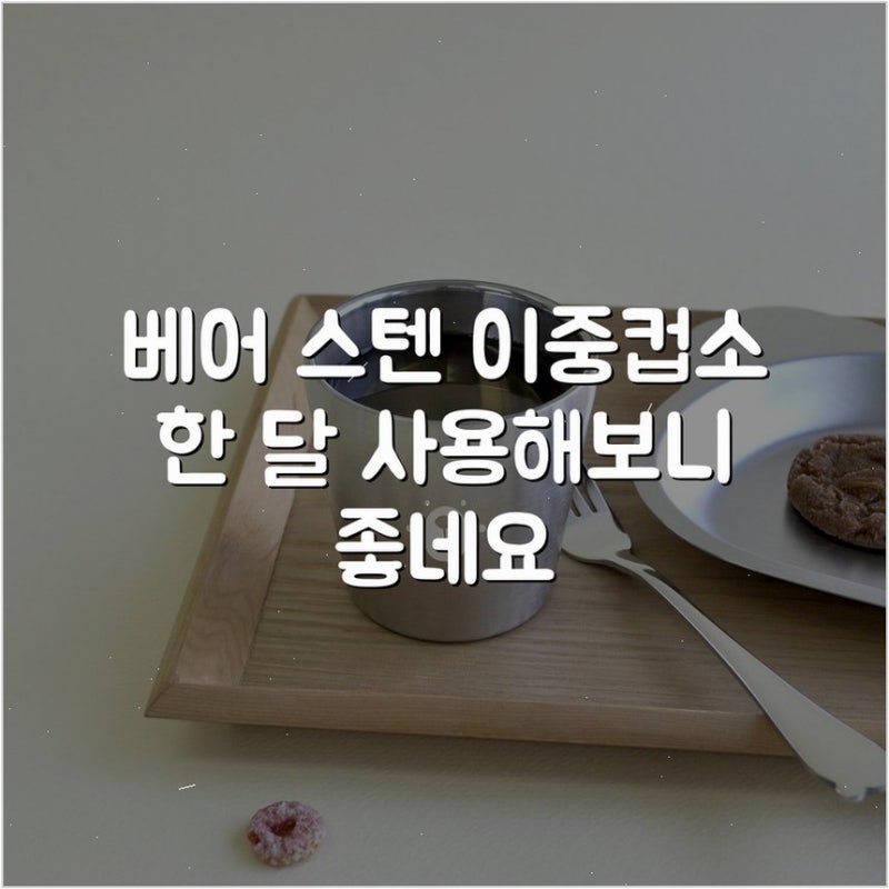베어 스텐 이중컵(소) 한 달 사용해보니 좋네요