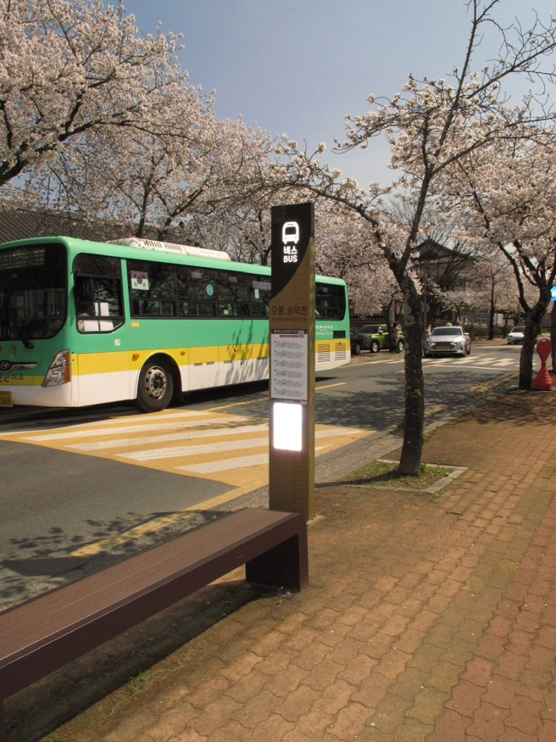캐논 파워샷 G11, G12 비교