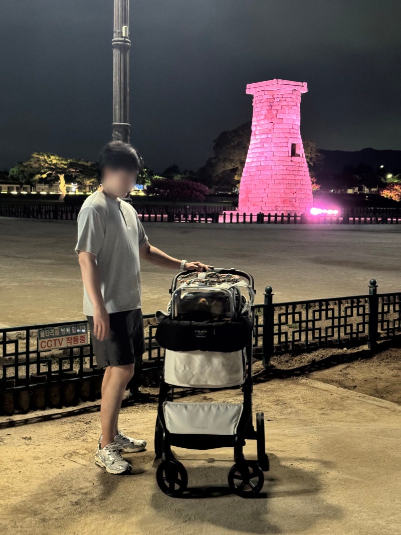 예민 보스 끝판왕 앵무새도 타는 피카고 애자일2 개모차 내돈내산 사용 후기 l 반려동물 유모....