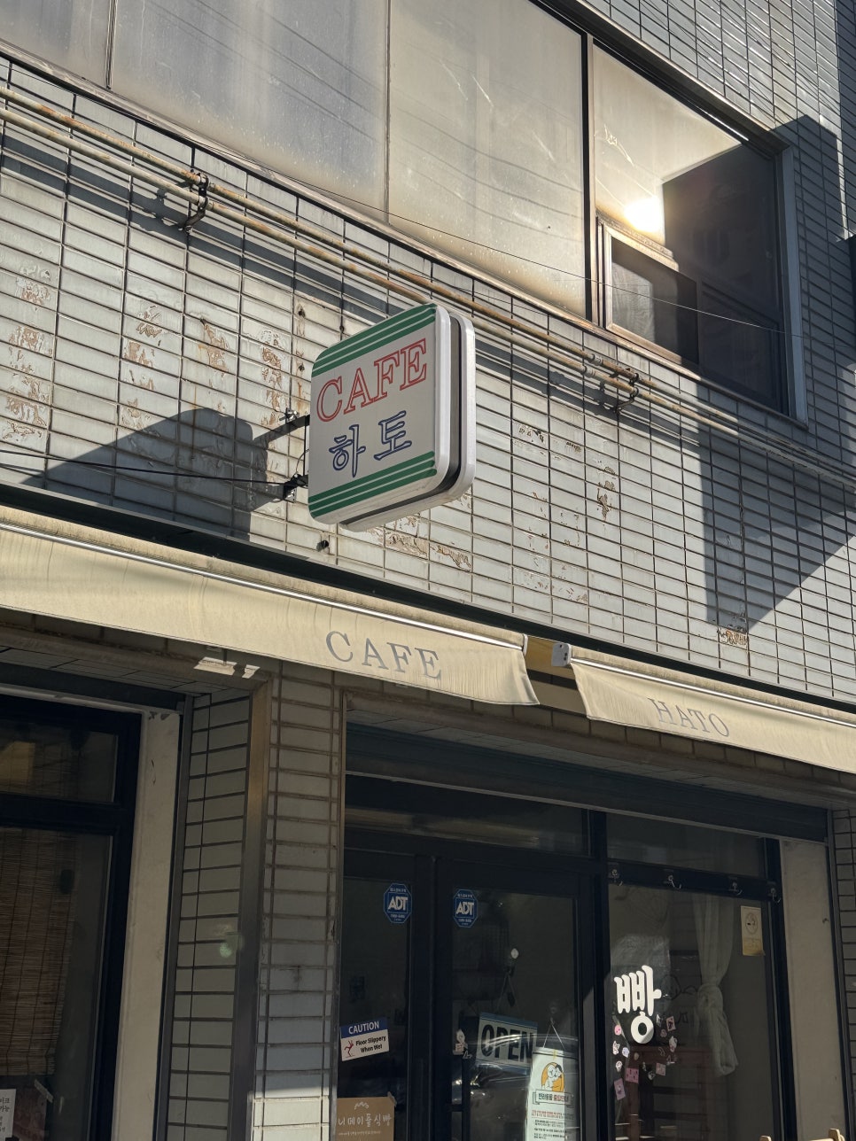 하토 사진 1