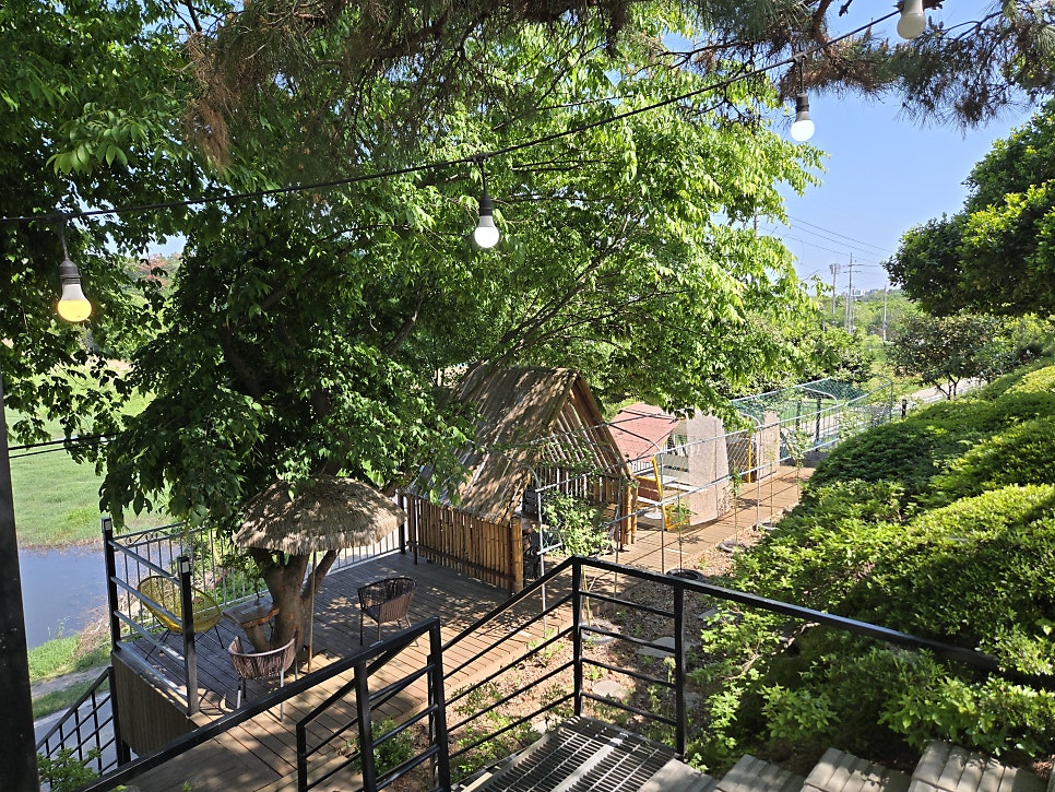 카페공식339 사진 4