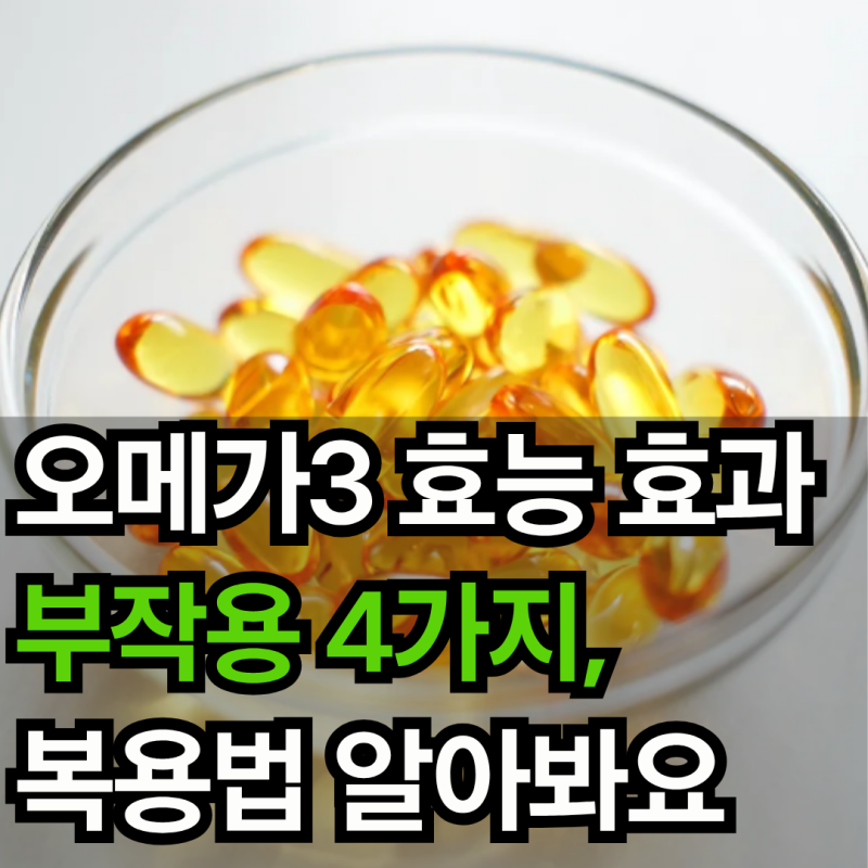 오메가3 효능 효과 부작용 4가지, 복용법 알아봐요