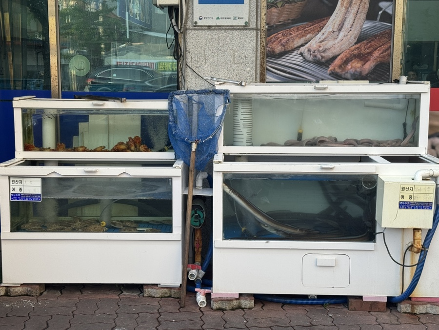 해궁 사진 6