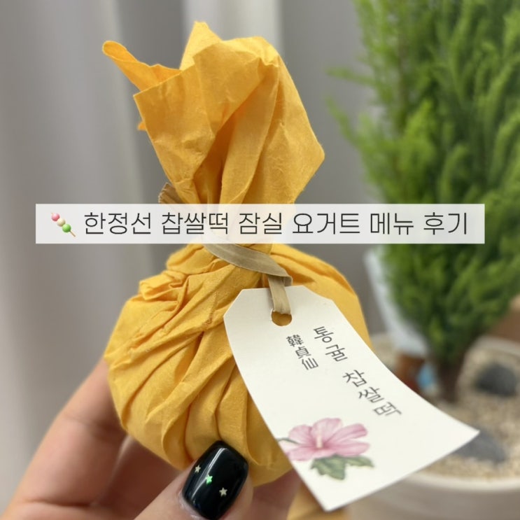  잠실 한정선 찹쌀떡 요거트 메뉴 가격 보관 솔직후기(진짜 이게 맛있어?!)